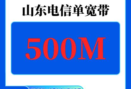 山东电信600元包1年单宽带500M【不含调试费】-绿港通信号卡营业厅