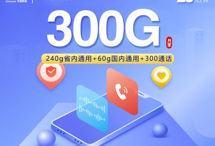 潍坊联通专属流量卡 28 元享 300G 超大流量 + 300 分钟通话-绿港通信号卡营业厅