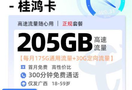 广西电信桂鸿卡【广西专属】39 元 / 月 175G 通用 + 30G 定向 + 300 分钟通话-绿港号卡营业厅