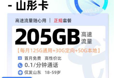 山东电信山彤卡【山东专属】29 元 / 月 125G 全国 + 50G 省内 + 30G 定向-绿港号卡营业厅